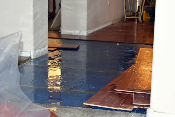 Professional Basement Flood Cleanup technician working in Cherry Point, NC